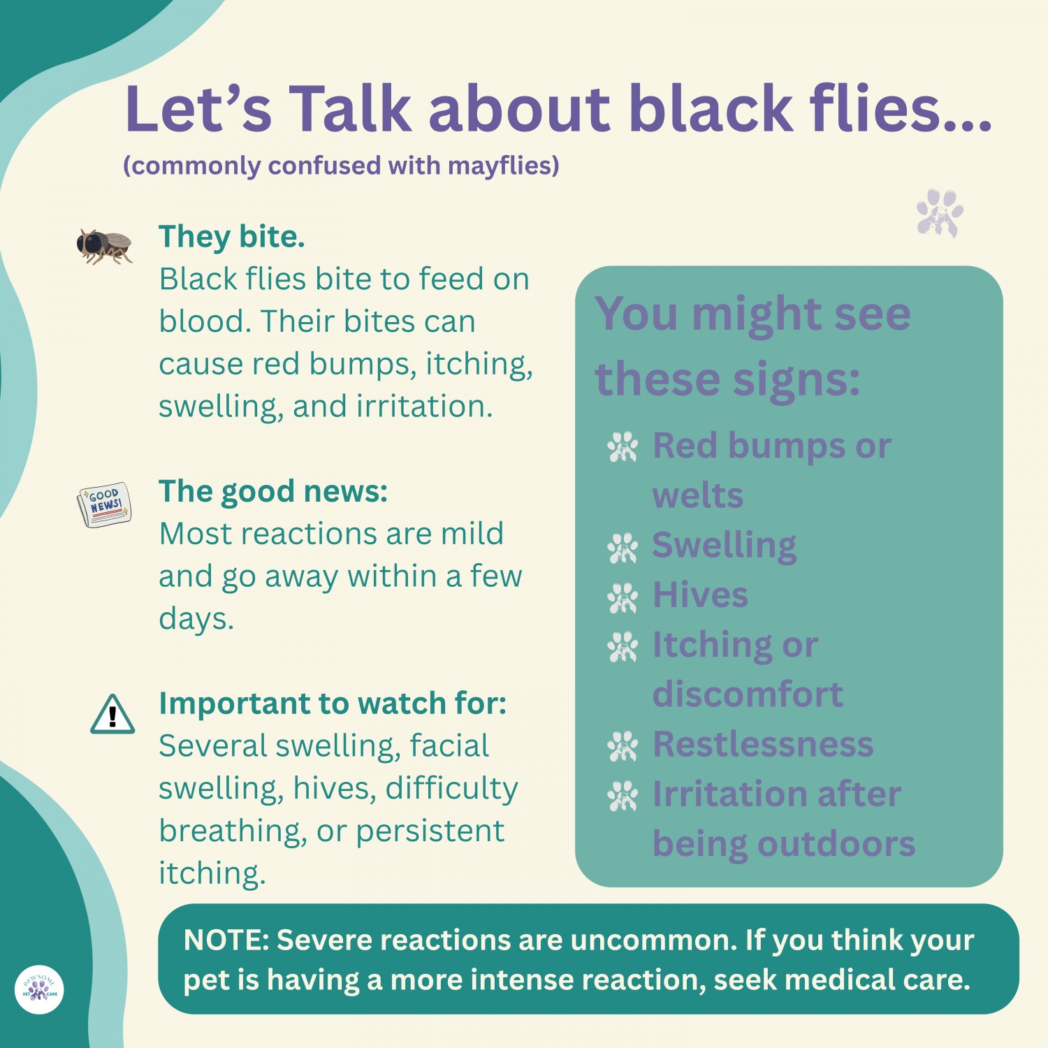 Black flies - symptons