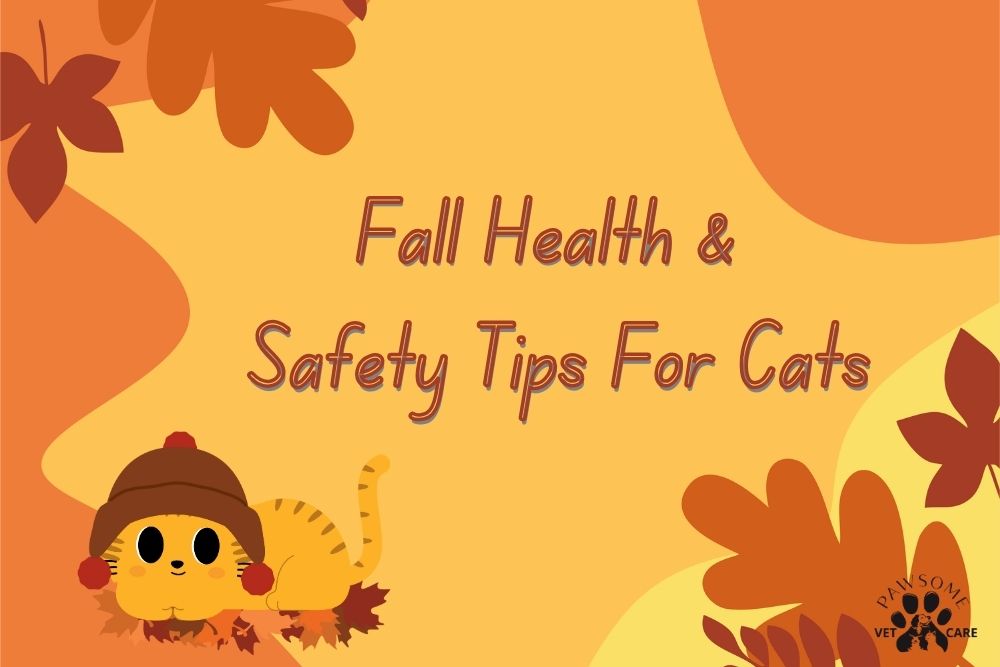 Fall Health & Safety Tips for Cats Graphic - Pawsome Vet Care - Enfield CT