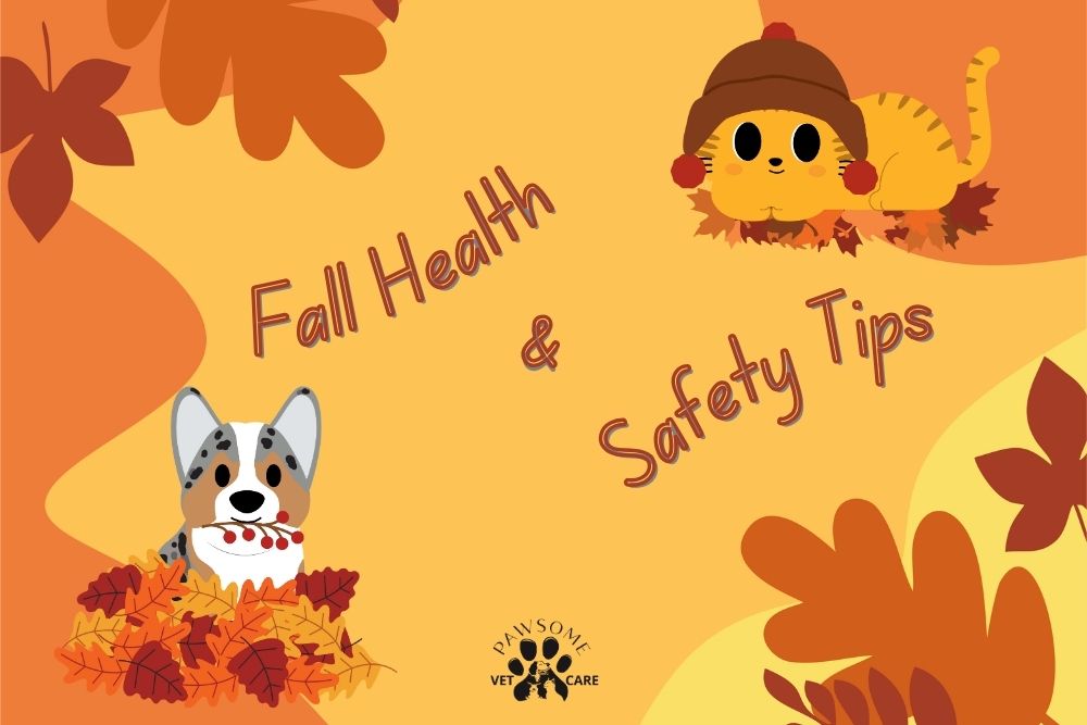 People standing around at Fireworks while dogs anxiously watch - Pawsome Vet Care