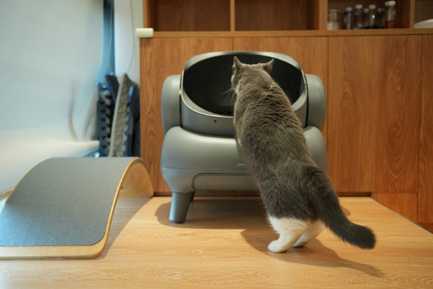 Gray and white cat climbing into robot litterbox Photo credit: Neakasa via Unsplash