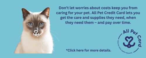 CLICK HERE to visit ALL PET CARD