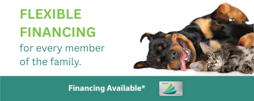 CLICK HERE to visit CareCredit